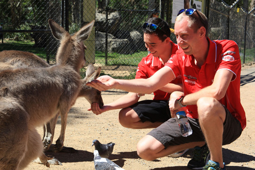 Simo Puhakka and Marijn Kremers feeding some kangaroos